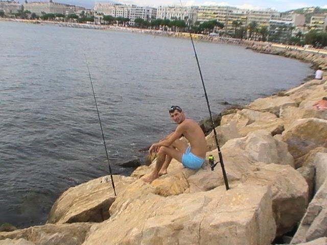 incep sa apara pesti din franta - 2013-08-25-174022-1.jpg